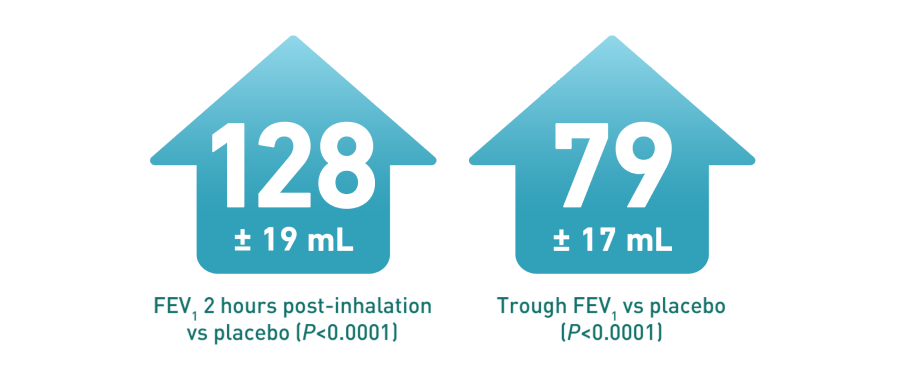 Tiotropium FEV Study