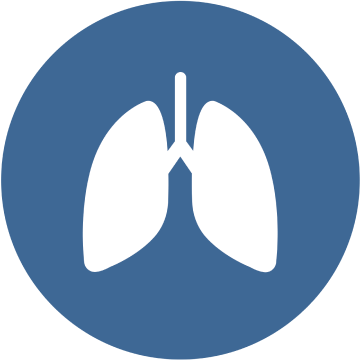 Lungs Icon