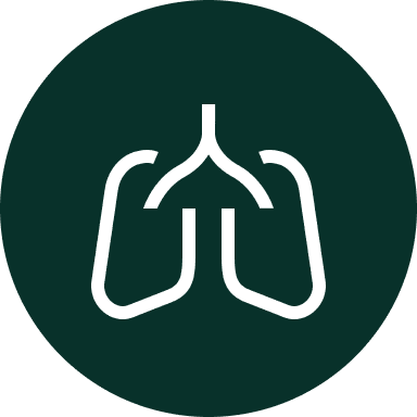 lungs icon