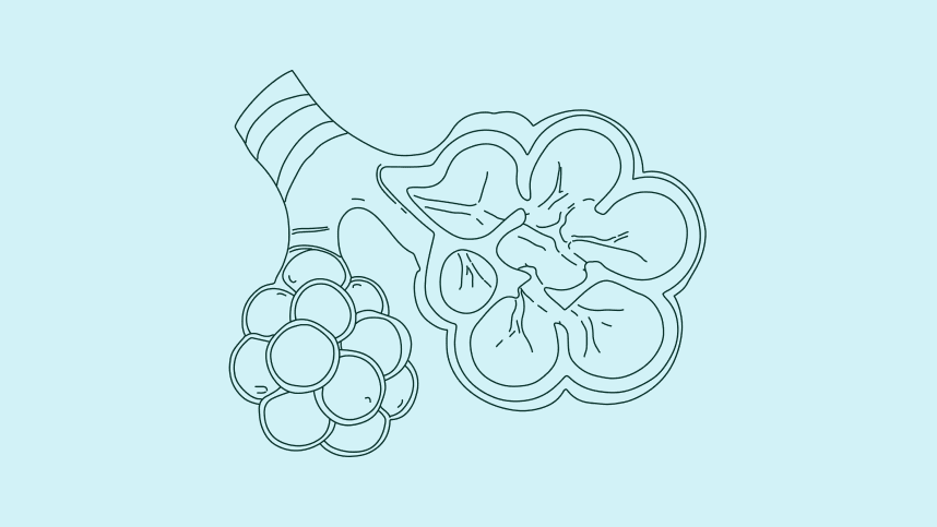 SPIRIVA RESPIMAT 2.5 mcg for COPD