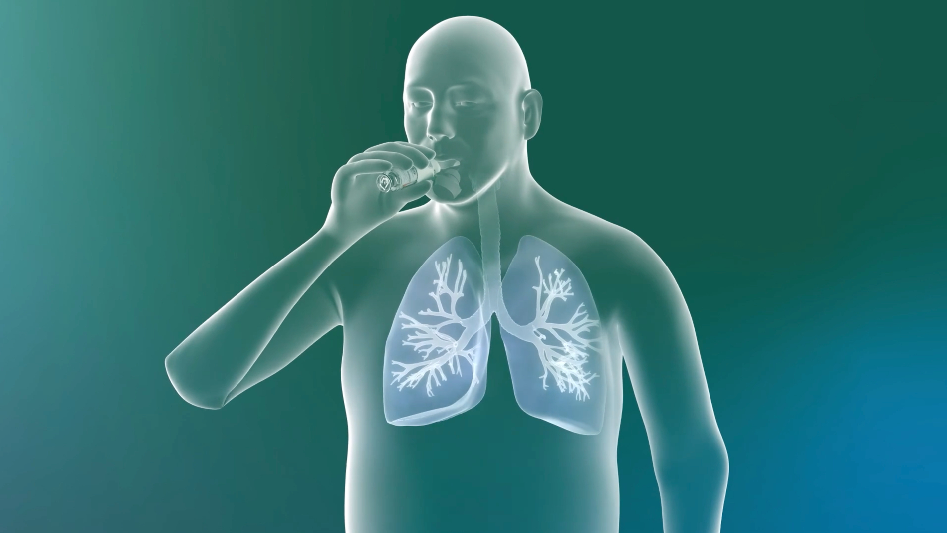A 3D medical illustration showing a person using a Respimat inhaler with a highlighted view of the lungs
